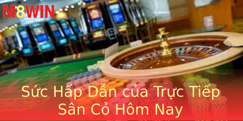 Sức Hấp Dẫn của Trực Tiếp Sân Cỏ Hôm Nay Sức Hấp Dẫn của Trực Tiếp Sân Cỏ Hôm Nay